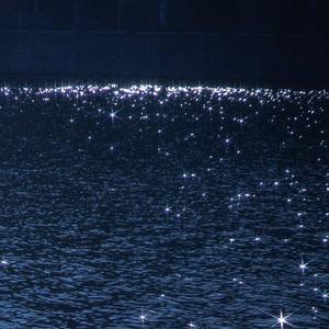 性欧美人与ZOZOXXXX视频
