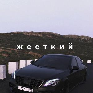 性欧美人与ZOZOXXXX视频
