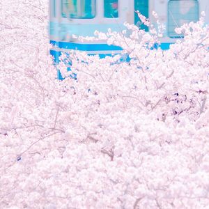 性欧美人与ZOZOXXXX视频
